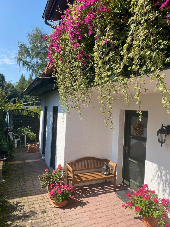 Elsterblick Apartment *