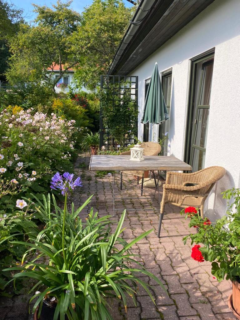 Elsterblick Bad Elster