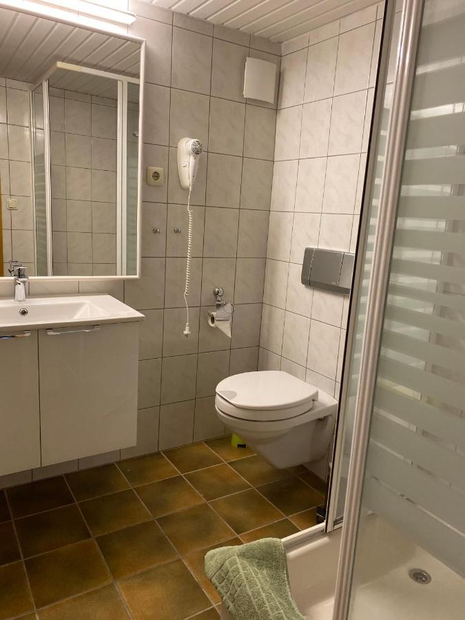 Apartment Elsterblick *